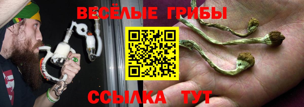 Галлюциногенные грибы MAGIC MUSHROOMS  Вход с VPN  Псилоцибиновые грибы Psilocybine cubensis  Ивантеевка 