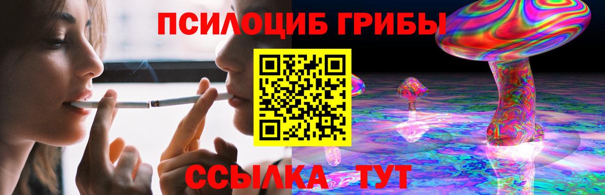 Галлюциногенные грибы Psilocybine cubensis Ивантеевка